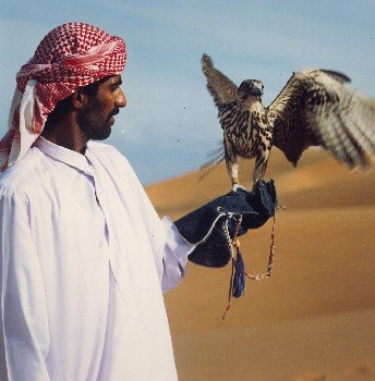 ICH_Falconry_02.jpg