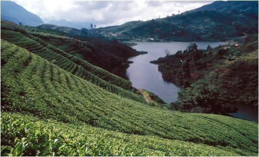 CentralHighlands_SriLanka_01.jpg