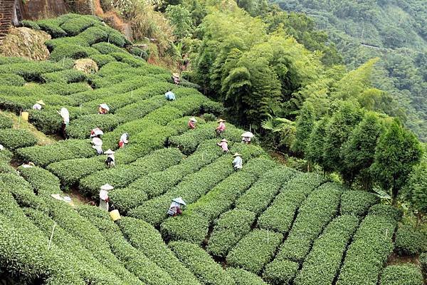 空中邊境露營_010_調整大小
