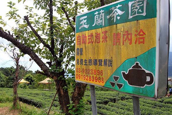 玉蘭茶園露營001