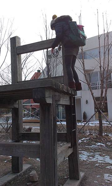 IMAG2248.jpg