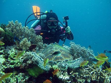 【菲律賓潛旅】2013 提著行李去薄荷島(下)