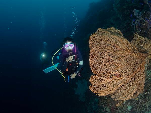 【菲律賓潛旅】2024 提著行李去薄荷島(潛Day1)