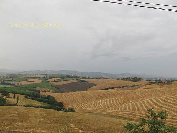 IMG_2669.JPG