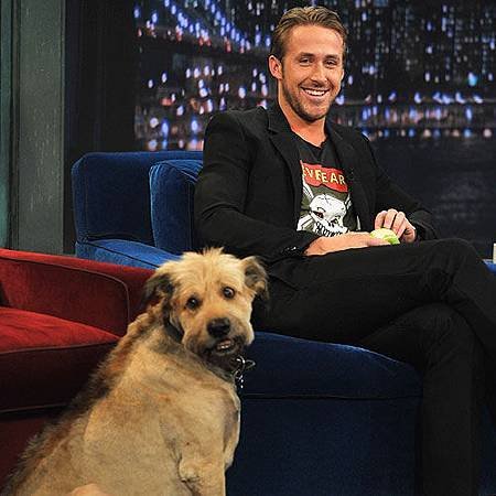 ryan-gosling-dog.jpg