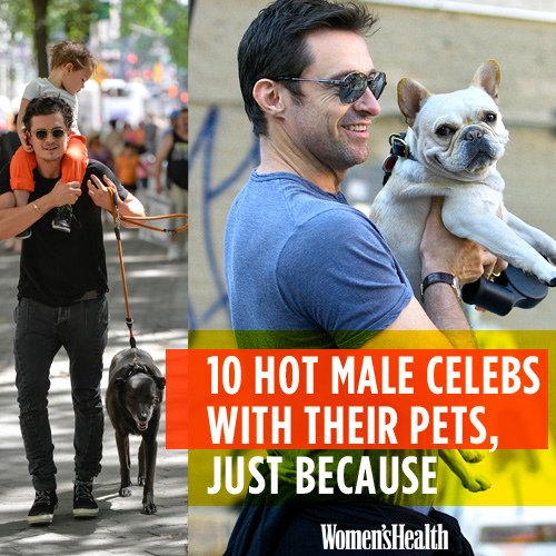 male-celeb-pets-intro1