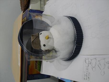 雪.JPG