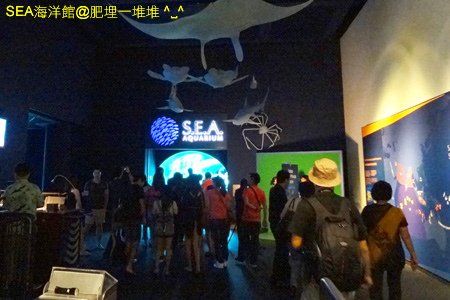 SEA海洋館