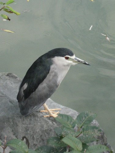 277784389_m.jpg