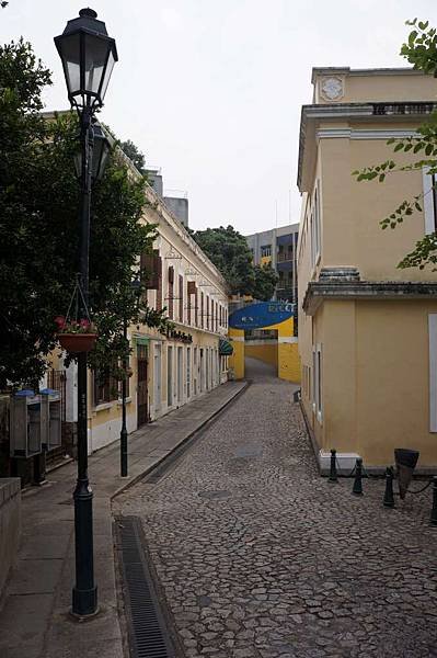 DSC04419-1024.jpg