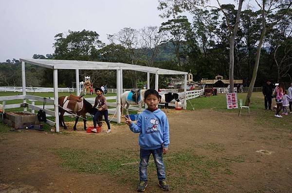 DSC09051-1024.jpg