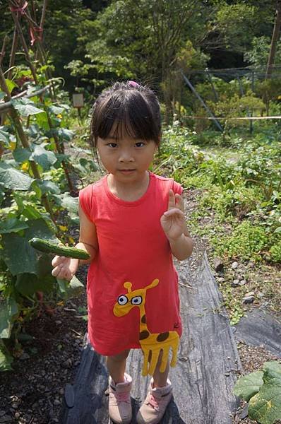DSC01016-1024.jpg