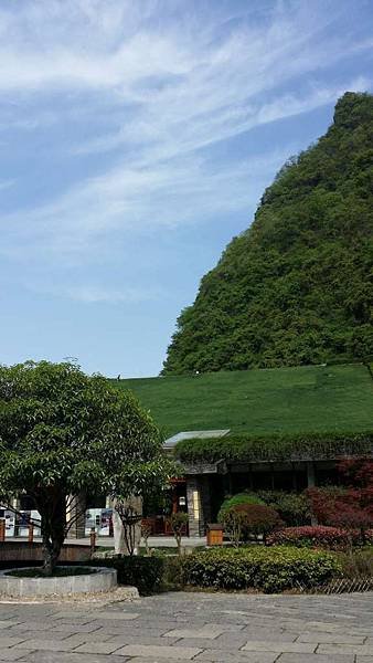 1070407-6 (7)-1024.jpg