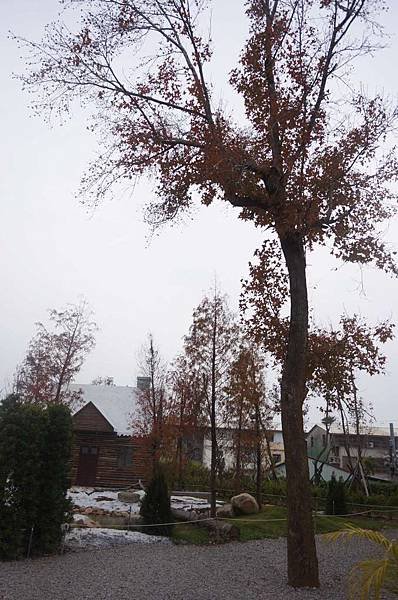 DSC04950-1024.jpg