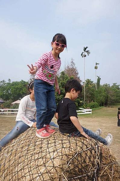 DSC06268-1024.jpg