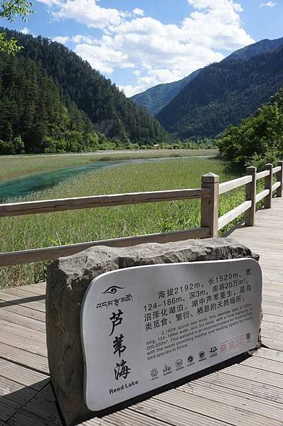 DSC04240-1024.jpg
