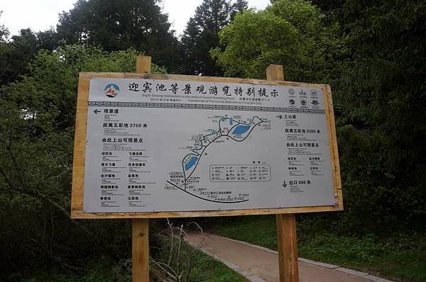 DSC05787-1024.jpg