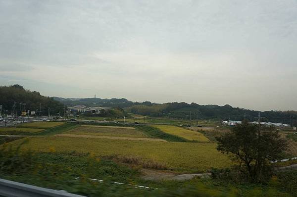 DSC07528-1024.jpg
