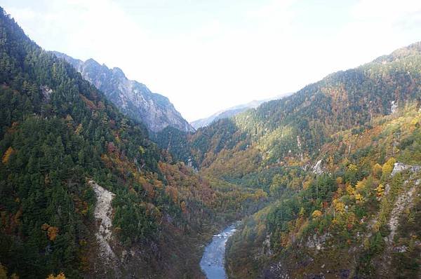 DSC09546-1-1024.jpg