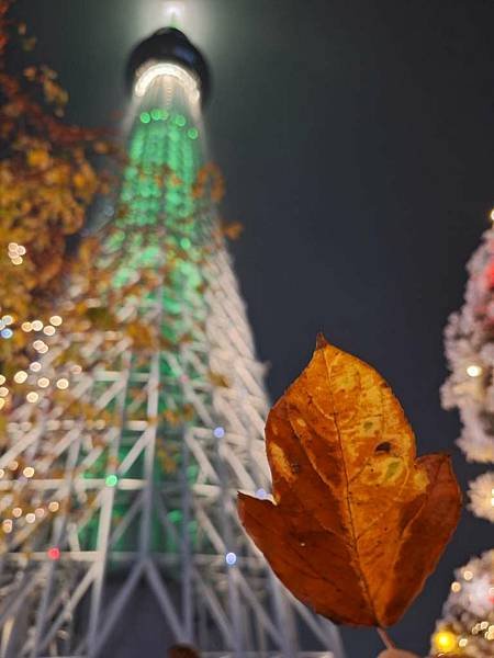 1131115-5晴空塔聖誕市集