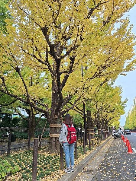 1131116-1明治神宮外苑