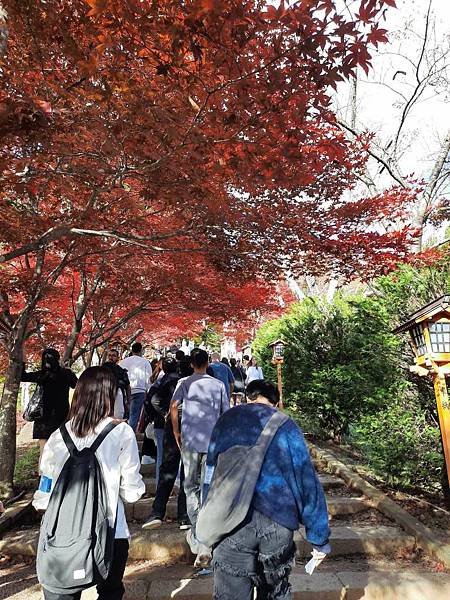 1131117-5新倉山淺間公園