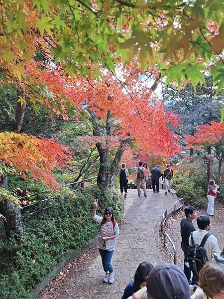 1131117-5新倉山淺間公園