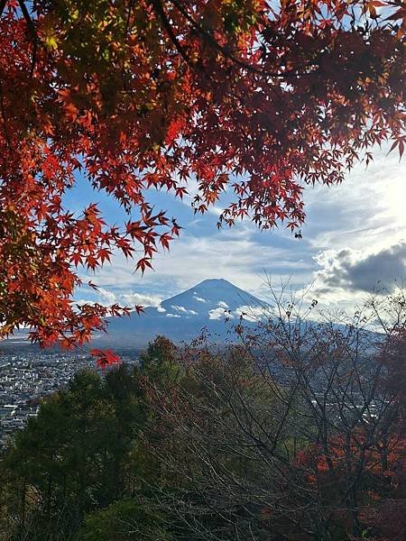 1131117-5新倉山淺間公園