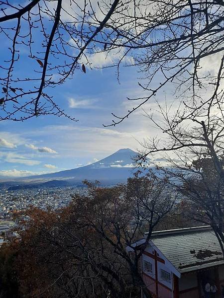 1131117-5新倉山淺間公園