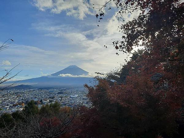 1131117-5新倉山淺間公園