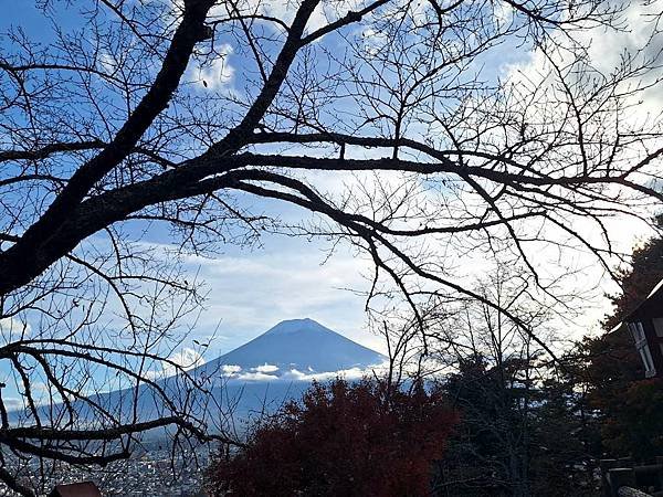 1131117-5新倉山淺間公園