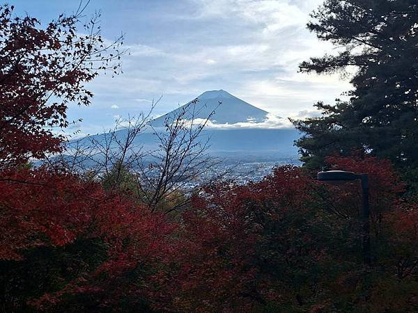 1131117-5新倉山淺間公園