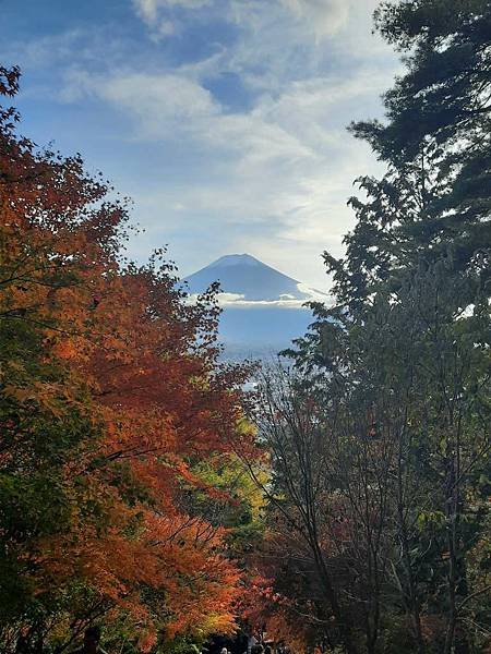 1131117-5新倉山淺間公園