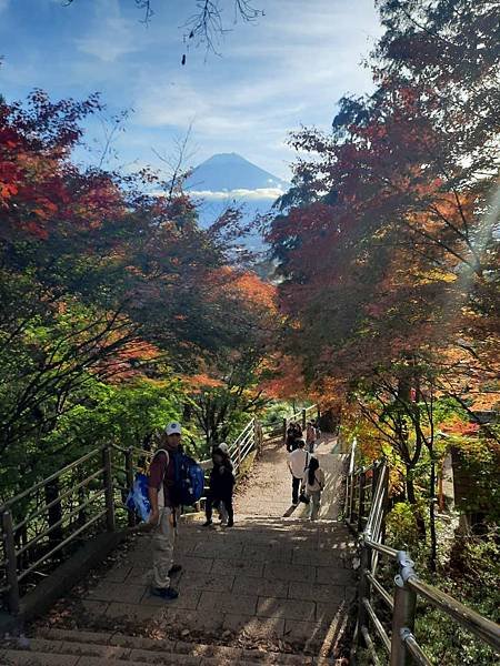 1131117-5新倉山淺間公園