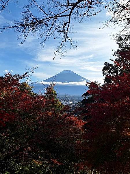 1131117-5新倉山淺間公園