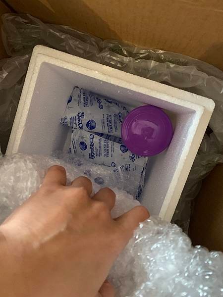 貓貓跟我一起出國去日本，寵物出國有多麻煩 ⁉️