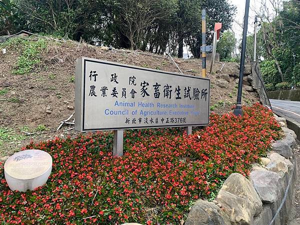 貓貓跟我一起出國去日本，寵物出國有多麻煩 ⁉️