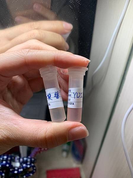 貓貓跟我一起出國去日本，寵物出國有多麻煩 ⁉️