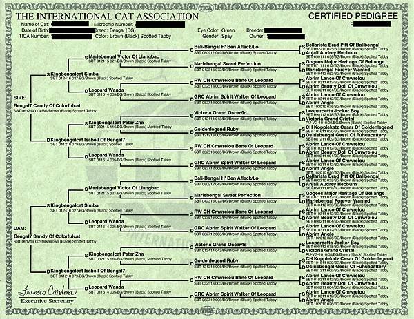 5-Gen Pedigree Watermark_SD-709510拷貝.jpg