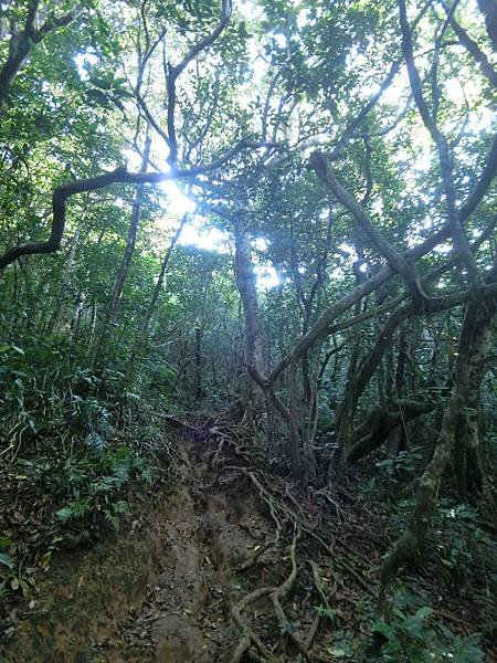 蘭嶼旅行~碧海蘭天民宿.曙光.大天池