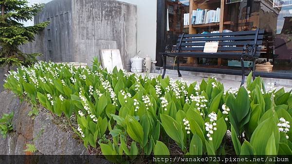 20140531_181459.JPG