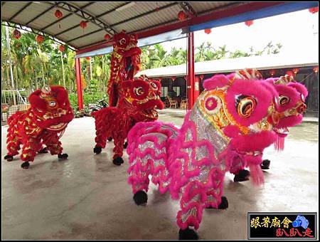 石光見余家張府天師 (39).jpg