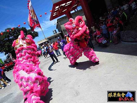 彌陀鹽埕巡天府 (291).jpg