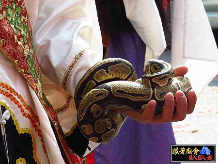 竹篙厝開帝殿開興堂 (475).jpg