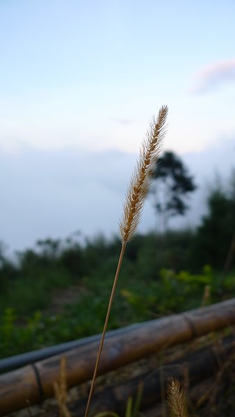 P1030858.JPG