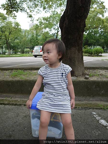 P1020743.JPG