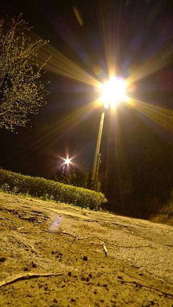 P1100641.JPG
