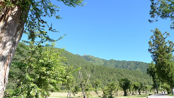 P1010124.JPG