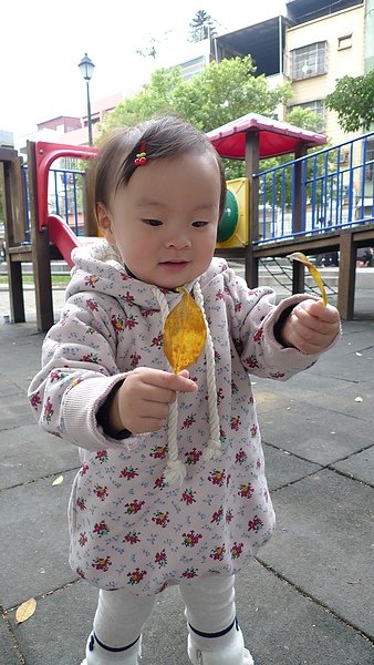 P1080773.JPG