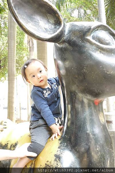 P1010018.JPG